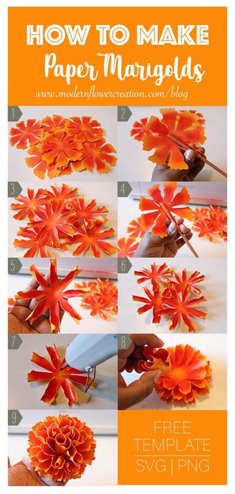 Marigold Flower Template